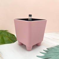 Self-Watering Pot -4.25"