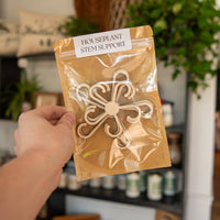 House Plant Stem Supports