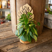 Plant Trellis - Monstera Leaf