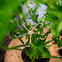 Decorative metal plant hanger among green leaves