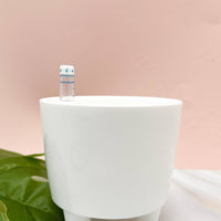Self-Watering Pot -3.75"