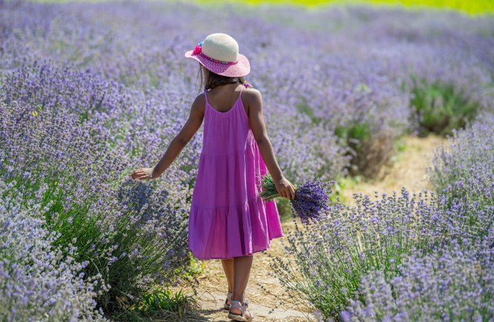 Premium Lavender Products