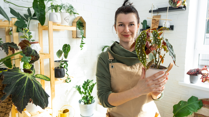 Woman holding a polka-dot begonia from House of Agave.