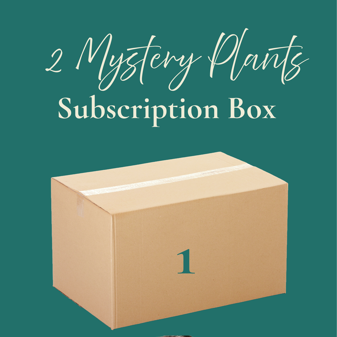 Cardboard box labeled &