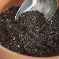 Houseplant Potting Mix - Puck
