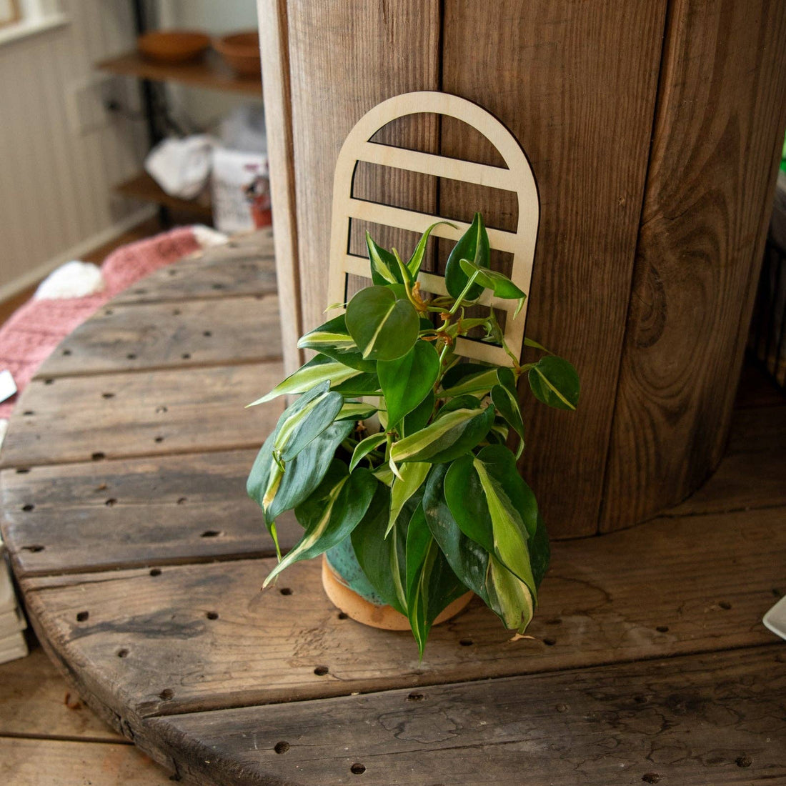 Plant Trellis - Arch