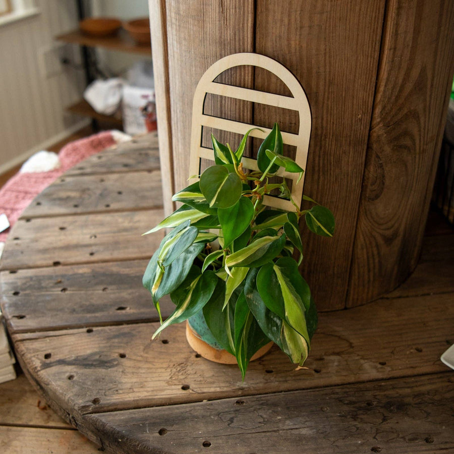 Plant Trellis - Arch