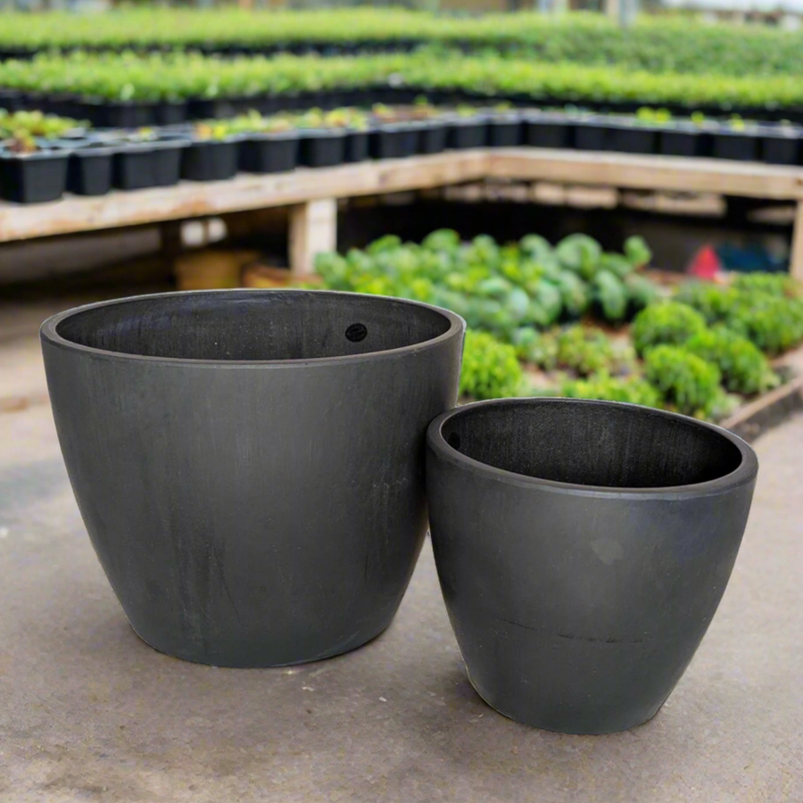 Two black plant pots in a plant nursery background from House of Agave.