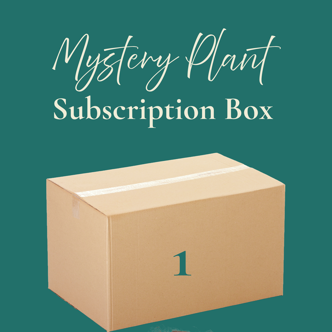 Cardboard box labeled &