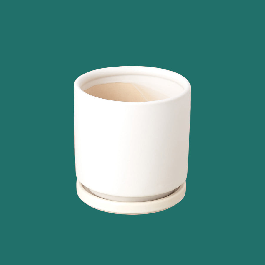 White ceramic pot on a terracotta background 
