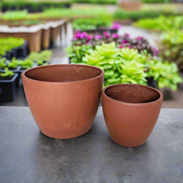 Two terracotta pots in a plant nursery background at House of Agave.