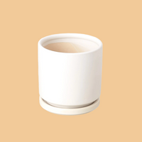 White ceramic planter on a peach background from House of Agave.