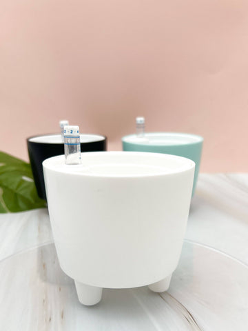 Self-Watering Pot -3.75"