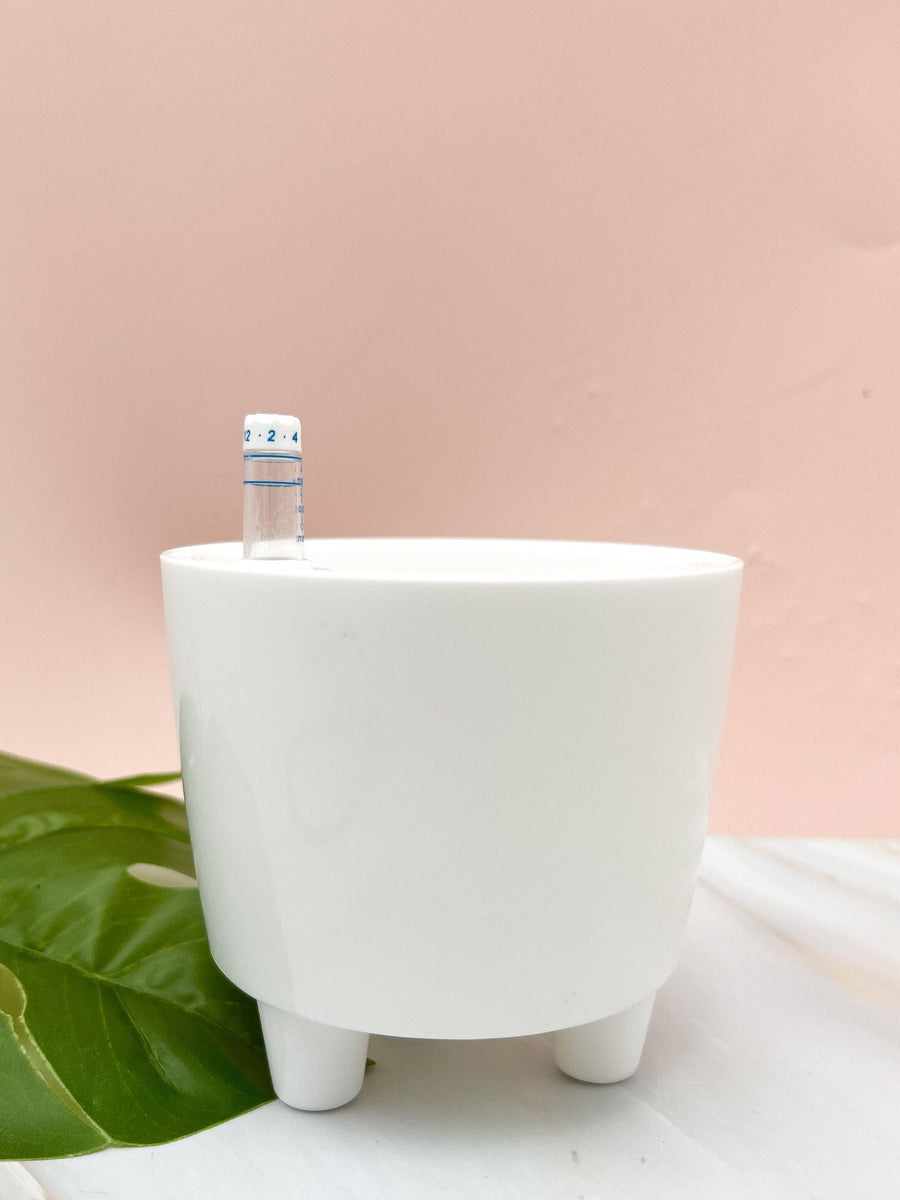 Self-Watering Pot -3.75"