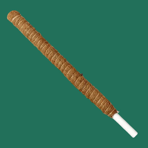 Brown cylindrical object with a white handle on a white background