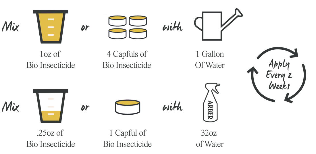 Organic Bio Insecticide - Arber